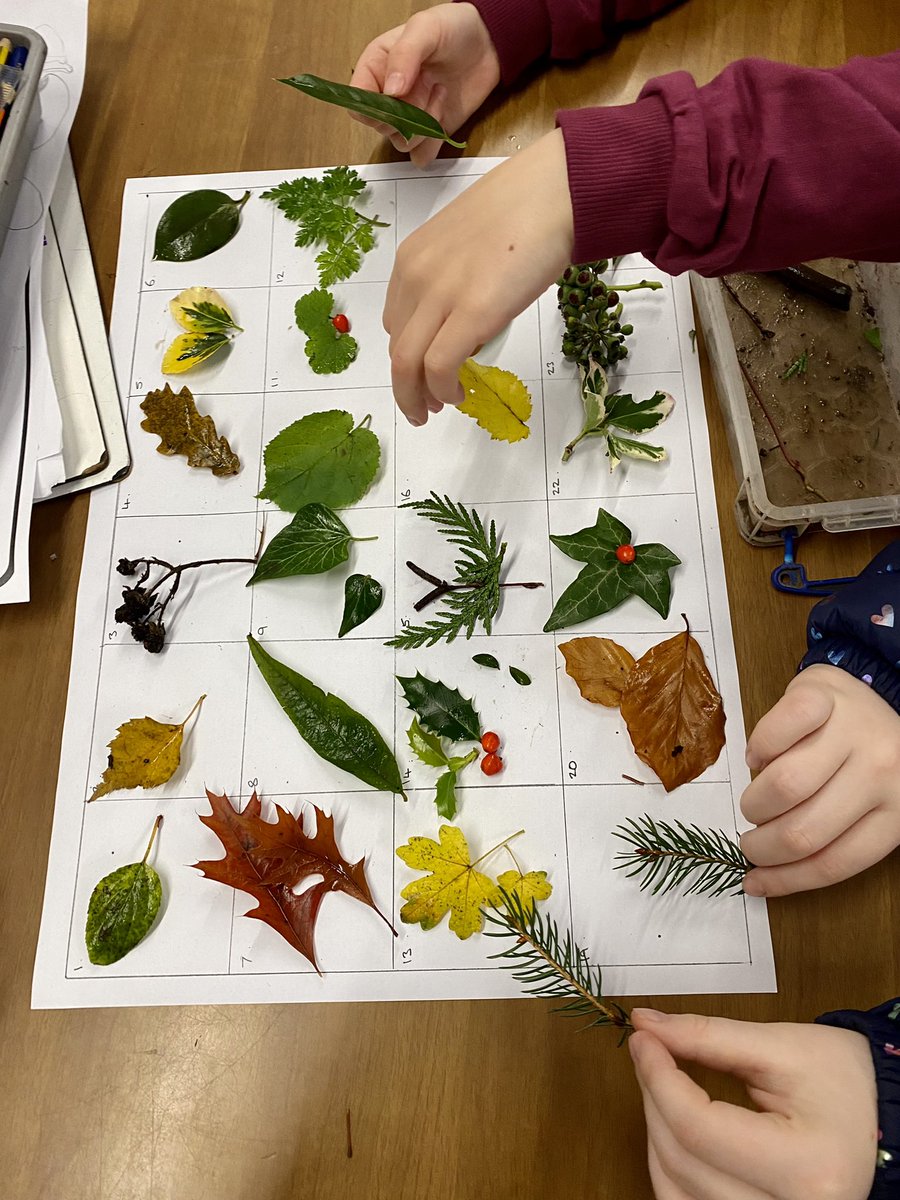 headintothewild's tweet photo. Year 3 enjoyed making their Nature advent calendars this morning. 
They gathered their resources from the woodland, sorted them and placed onto their grids. 
Apart from the benefits of being outdoors for the majority of the morning this was a very mindful activity
#Wellbeing https://t.co/S4z3Yttj1w