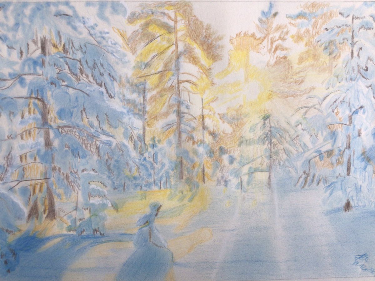 mandocrasy's tweet photo. My next #winterlandscape is finished. #winterforrest #drawing #pencildrawing #coloredpencilandchalk #ArtistOnTwitter #myartwork https://t.co/pK8tOV2cwc