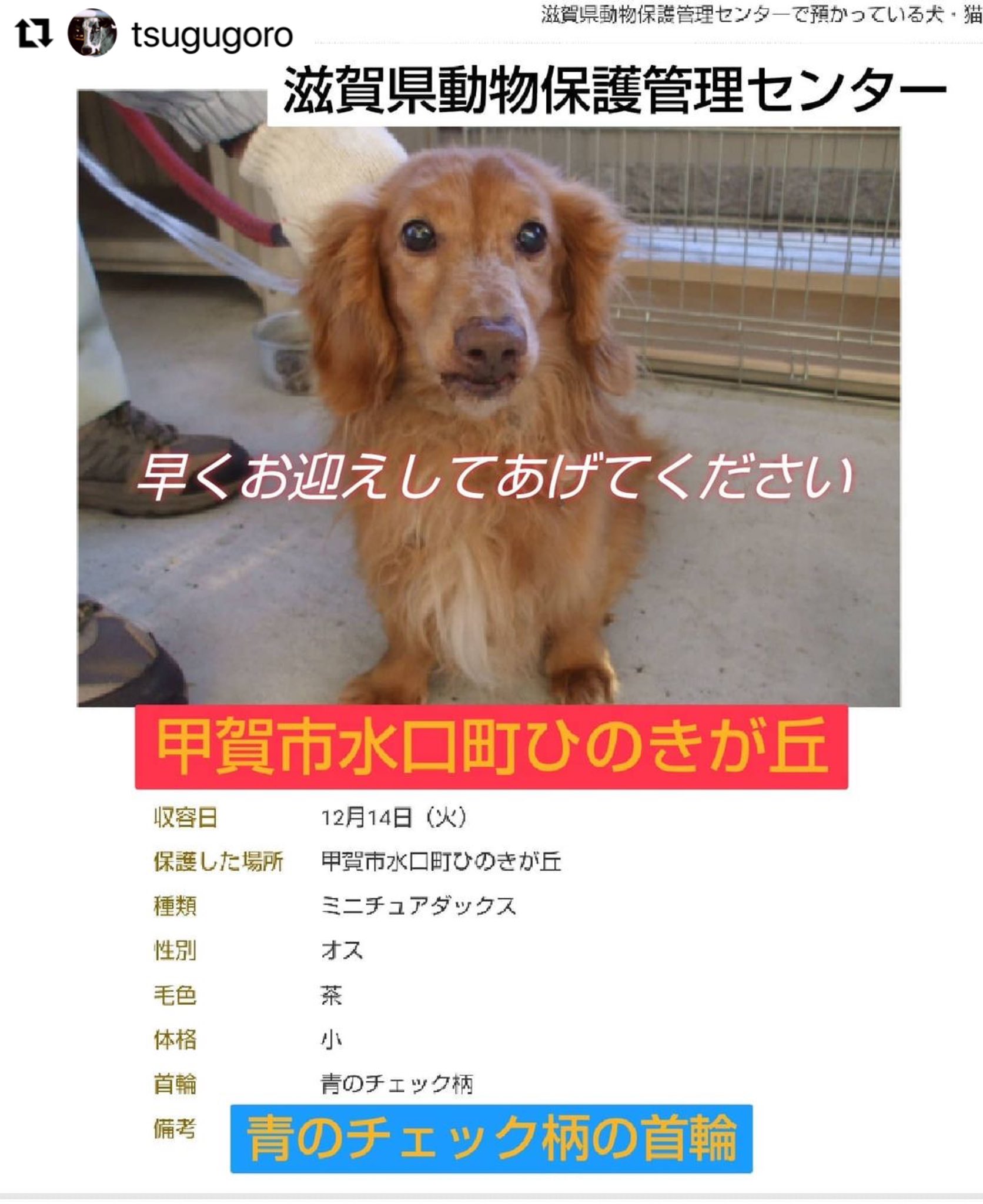 滋賀県動物管理センター Twitter Search Twitter