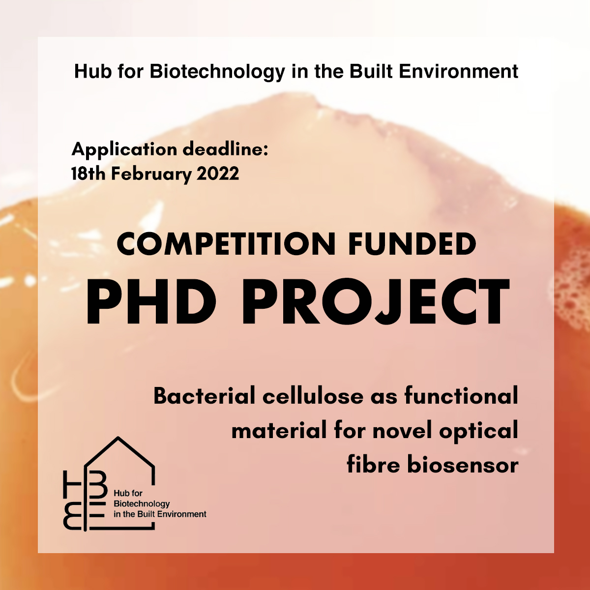 Hub for Biotechnology in the Built Environment (@bio_buildings) on Twitter photo Join our team for researching on #BacterialCellulose as functional #material for a novel optical fibre #biosensor.
Application due to 18th February 2022
This funded Phd Project is open for students worldwide!
bbe.ac.uk/open-position-…
<a href="/NorthumbriaUni/">Northumbria Uni</a> <a href="/UniofNewcastle/">Newcastle University</a> <a href="/MengZhangDR/">Meng Zhang</a> Join our team for researching on #BacterialCellulose as functional #material for a novel optical fibre #biosensor.
Application due to 18th February 2022
This funded Phd Project is open for students worldwide!
bbe.ac.uk/open-position-…
<a href="/NorthumbriaUni/">Northumbria Uni</a> <a href="/UniofNewcastle/">Newcastle University</a> <a href="/MengZhangDR/">Meng Zhang</a>