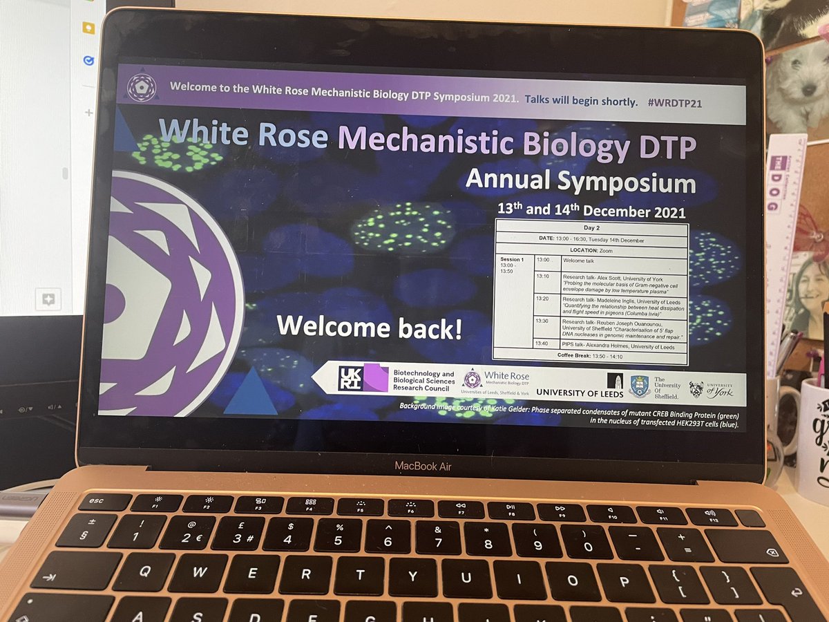 Time for day 2! #WRDTP21