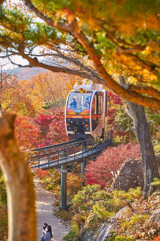 Marcellin06's tweet photo. Pengen ke sini tapi kapan?? Mengsedih
 :( #Korea #travelphotography #cantik #Indonesia https://t.co/v0AqoOEnev
