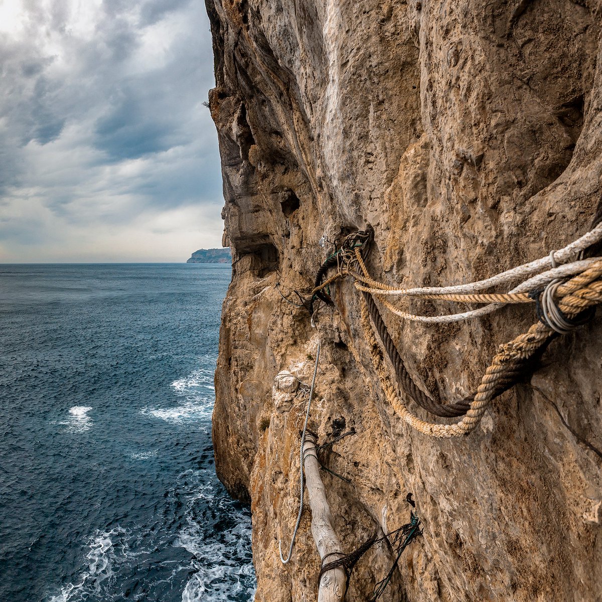 Vicent Baydal tweet media