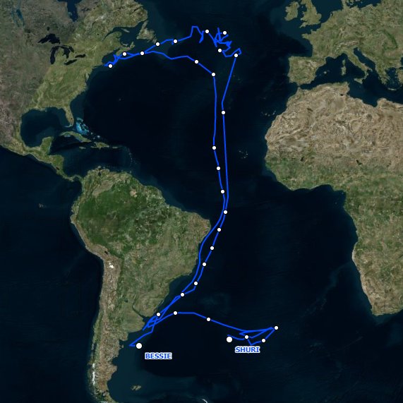 trackseabirds's tweet image. We've been #tracking #seabirds for 150 days and are down to 2 #birds still transmitting in the S Atlantic Bessie &amp;amp; Shuri. Both have travelled more than 31,000 km since July! #trackseabirds #biologging #scicomm #birdwatching #ornithology #science #research #Datavisualization