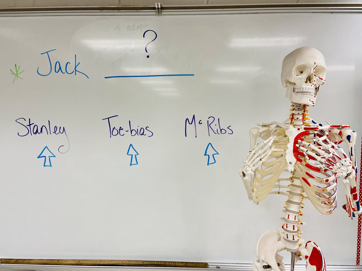 Help us give our new skeleton a last name. 🤓