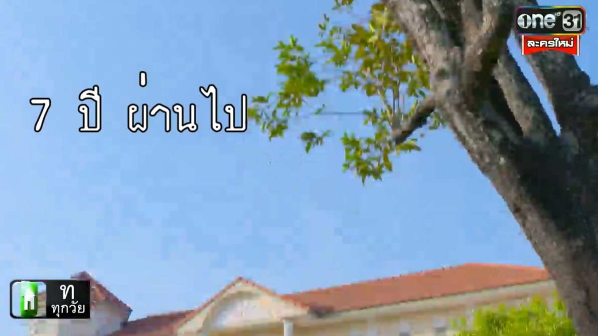 one31thailand tweet media