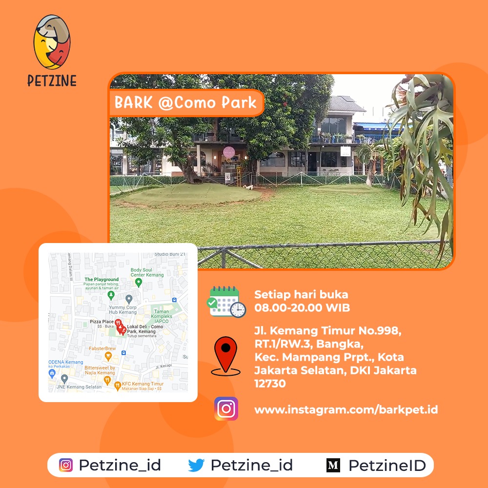 Petzine_id's tweet photo. Petzine akan ajak kalian untuk mengunjungi tiga tempat pet-friendly yang ada di Jakarta. Kemana aja sih? Tunggu video liputannya, ya!

#PetzineID #HewanPeliharaan #PetFriendly #Petcafe https://t.co/DXgYs6jZOo