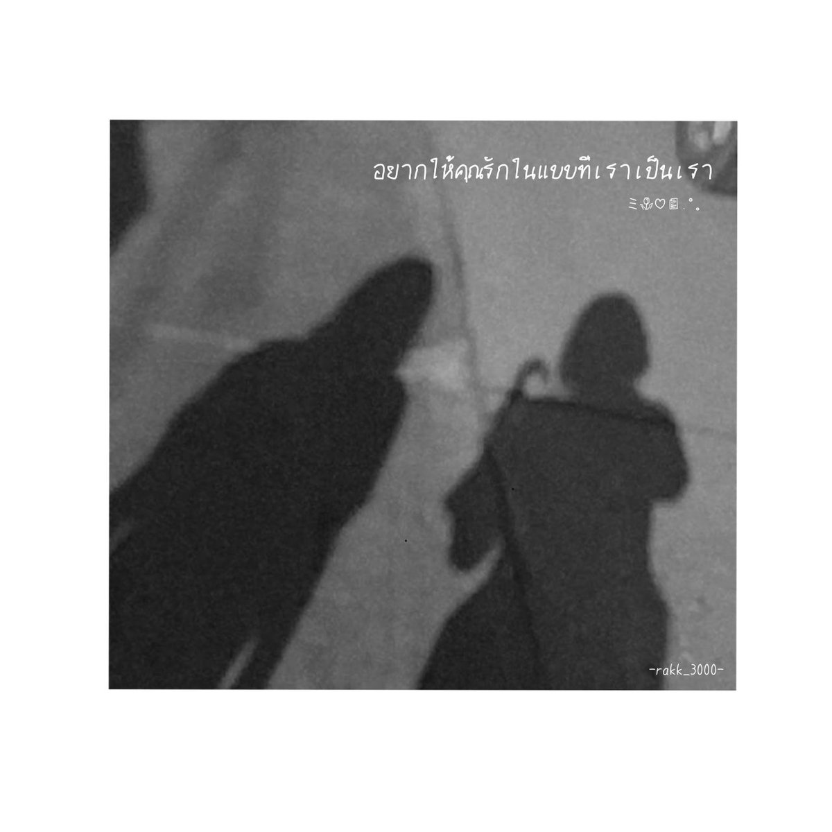 Rakk_3000's tweet photo. ミ🌷♡📄.°୭̥
#แคปชั่นเหงา #คนรัก #รักที่สุด #เหงาใจ #คนคลั่งรัก #คนคั่นเวลา #คำคมความรัก #คําคมโดนๆ #คำคมเสี่ยว #คำคมคนอกหัก #คำคมความรู้สึก #คิดถึง #รักเขาแต่เขาไม่รัก #เขาไม่ได้รักเรา #แคปชั่นเศร้า #แคปชั่นความรัก #แคปชั่นความรู้สึก #รักแฟน  #คำคมรักแฟน​ #คำคมเสี่ยวๆก่อนนอน😪😪 https://t.co/agymhBgele