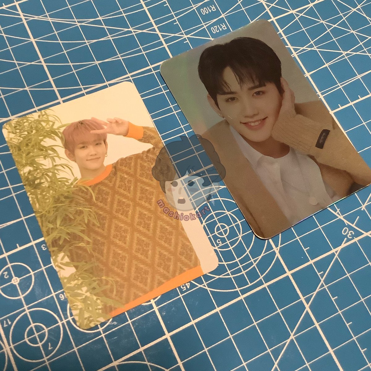 mashiokart's tweet photo. wts lfb ph 

☁️ mashiho te first press (slight marks)
☁️ mashiho japan type b pc (w marks, slightly bent)

— sold as SET, ₱300
— onhand
— details on pinned 
— check thread for vid condition
— dop: payo / 3 days reservation 

dm / reply to claim

# treasure mashiho photocards https://t.co/j8QAZyoczi