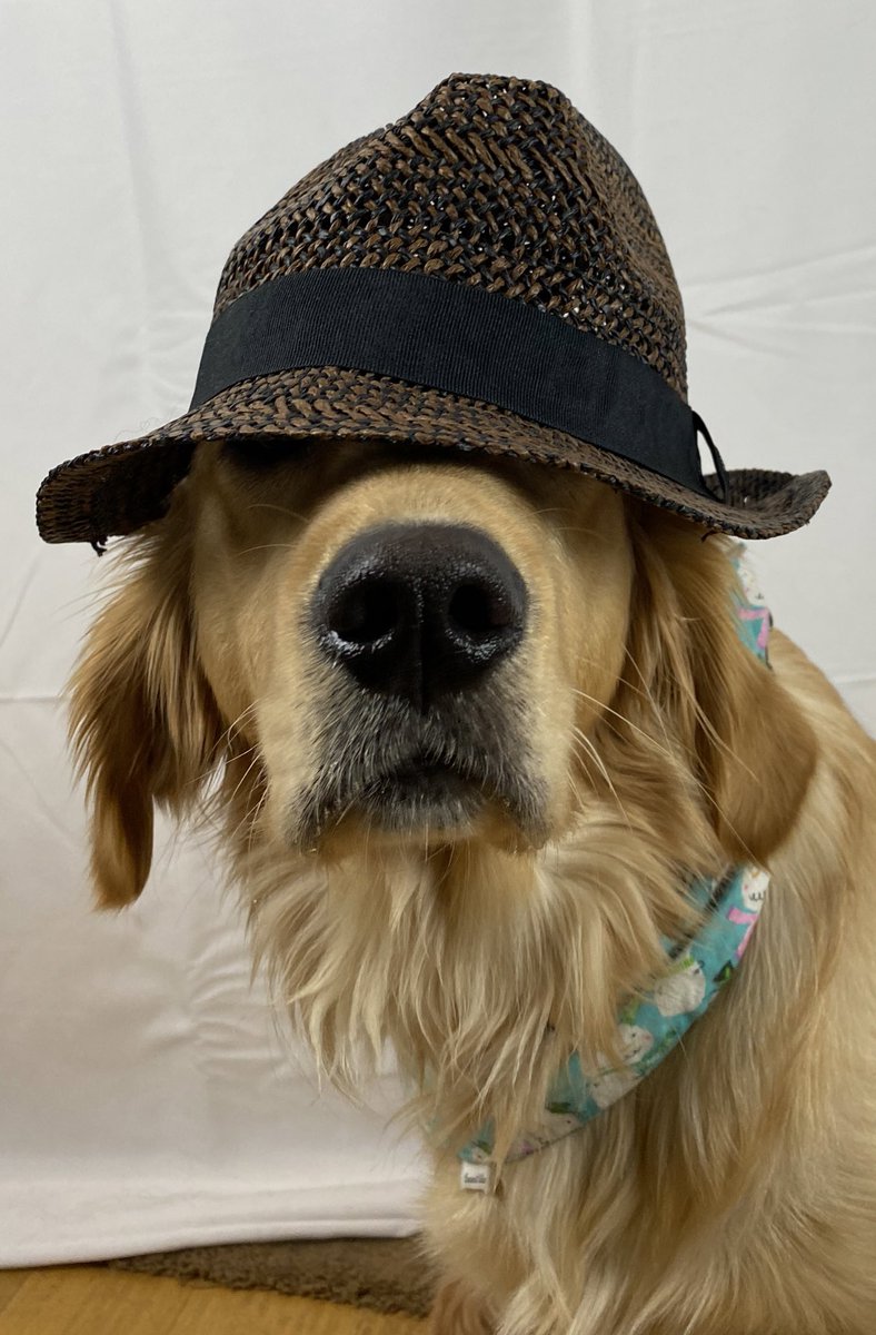DO YOU LIKE MY HAT??  #HatFriendDay