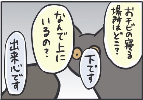 絶対に譲れない場所がある先輩猫、勝手に居座る後輩猫に…… "教育的指導"で威厳を示す姿がかっこいい漫画 https://t.co/0ErOHVSPic 
