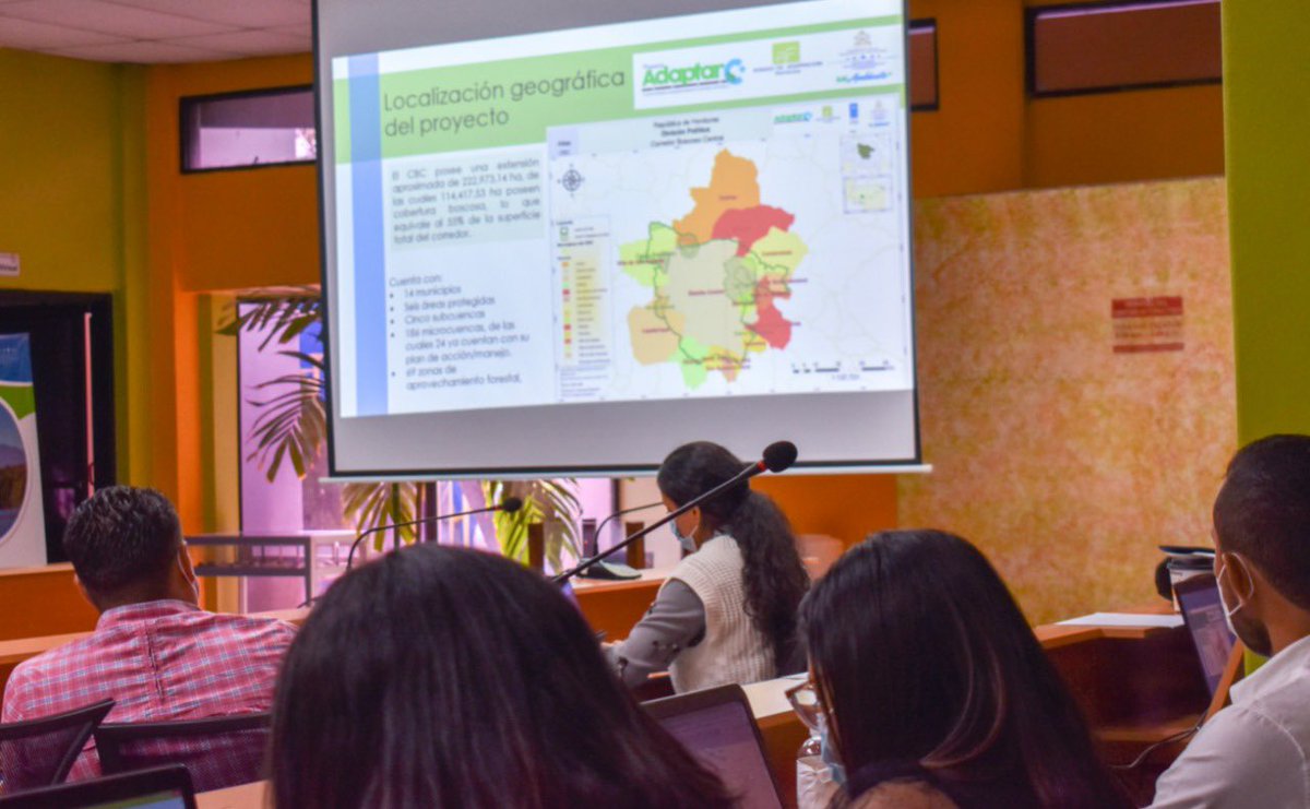 sernaHN's tweet photo. En junta de proyectos #AdaptarC+, la ministra de #MiAmbiente+, Liliam Rivera, se reúne con autoridades del proyecto y de @PNUDHonduras https://t.co/IL134P9Cxl