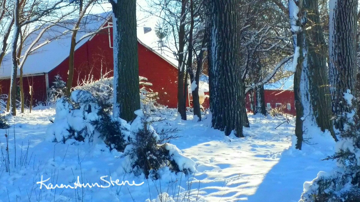 love4herbs's tweet photo. Walking In A Winter Wonderland - #WinterFalls #Walk #Sunny #Christmas2021 #CountryLife #freedom #fitness #love4herbs https://t.co/OmLkJUqccy