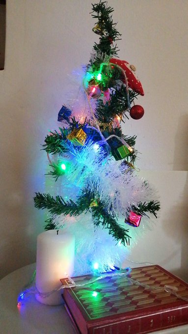 I'm Jewish but I set up this tree. As a cam boy you gotta make use of all seasons 😂💋 how cute? #MerryChristmas<a href="/tag/merrychristmas"class="tags"><span>#merrychristmas</span></a>