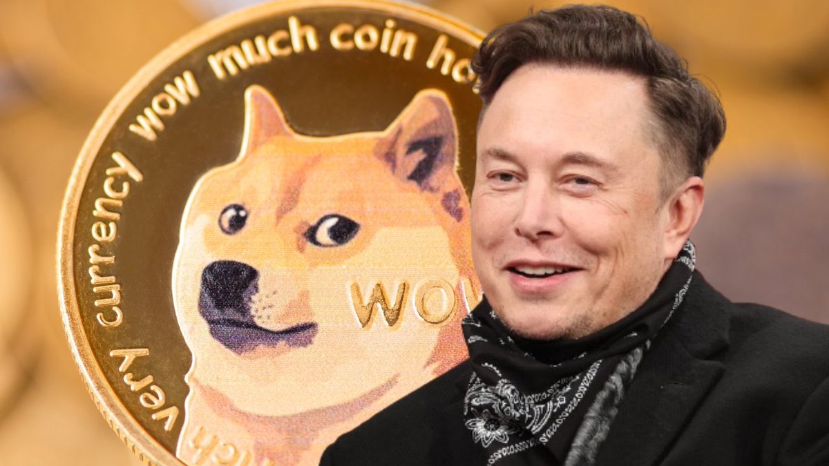 healthy_pockets's tweet photo. .@elonmusk vuelve a hacer de las suyas

Tras anunciar que @Tesla empezará a aceptar #doge para la compra de Merchandise 🐶👀

Provocando un crecimiento de más de un 20% en #dogecoin https://t.co/gxRMc65wnt