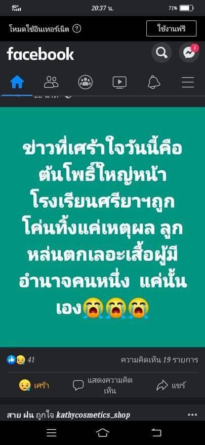 :p tweet media