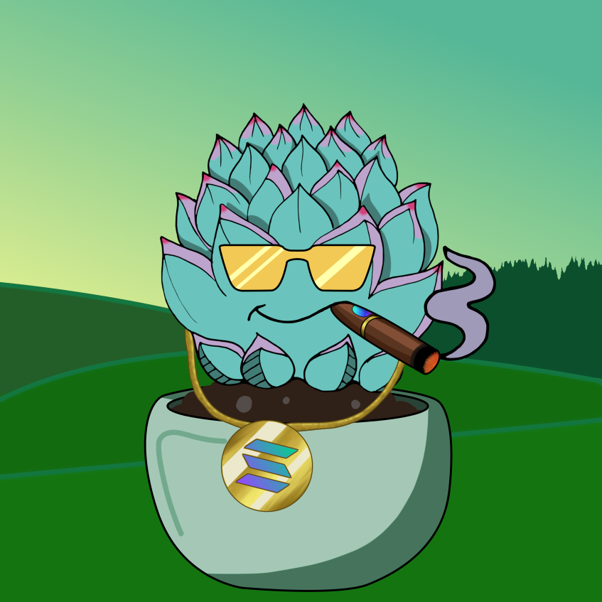 SOLcculents's tweet photo. Got Bling? https://t.co/S70Xl2cj2t