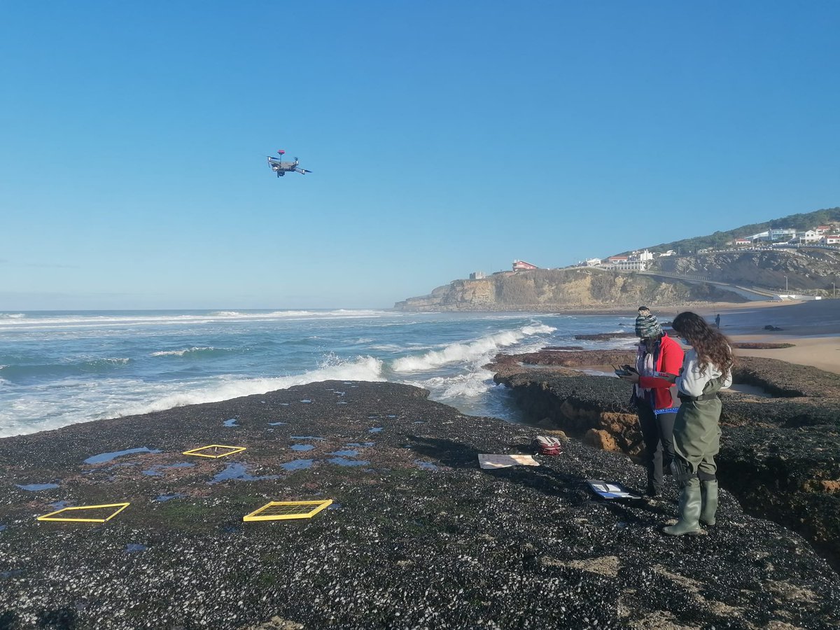 MARE_Madeira's tweet photo. Our PhD student Silvia Almeida joined researchers from MARE-ISPA to collect aerial imagery of Portugal's intertidal communities last week 🦀
This @MARE_centre collab gathers researchers from Madeira, @ispamedia and @FC_UL to map #intertidal habitats.
#Drones #MultiSpectra #AI https://t.co/UKGjY4Z6qE