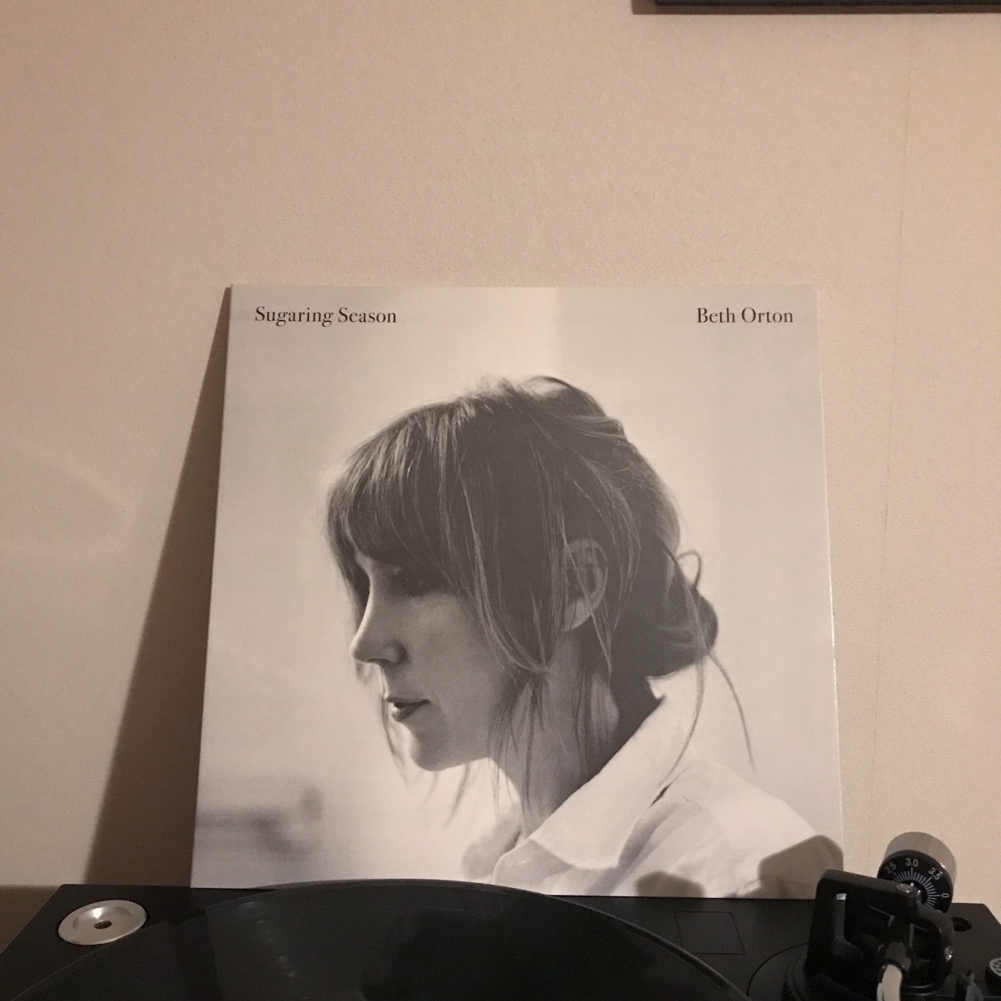 Happy birthday Beth Orton       Last Leaves of Autumn                      