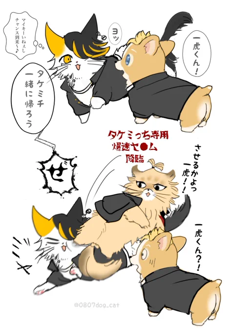 ゆっる〜い とら武 マイ武 🐱🐱🐶

わずか数秒の出来事だったと後にタケミっちは語った( 'ω') 