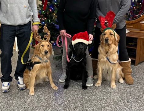 ECADServiceDogs's tweet photo. Meet the new #ECADServiceDog #graduates!!π #Melon, #Romeo, and #Quinn have done an AMAZING job with their #training, and are ready to take on the real world π
π Come to #ECAD campus, or tune in on #Facebook TOMORROW to watch this very special #holiday ceremony! #SantaPaws πΎ https://t.co/ajE4gvnDn4