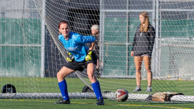 Dalhousie Alumni tweet media