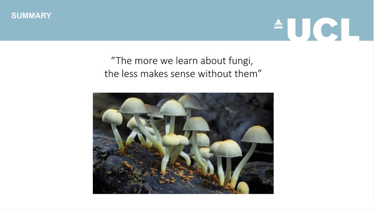 Nicole Ferguson tweet media