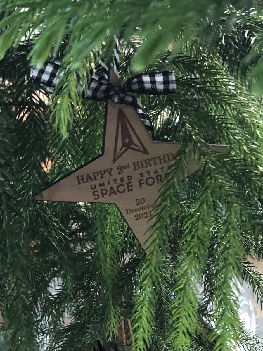 1pcornwell's tweet image. The fave holiday ornament this year for @drstacigruber & Lola & me. @SpaceForceDoD @SpaceForceCSO 🚀💫💕👽🐶