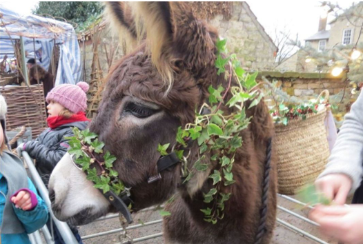 CAROLINE2812's tweet photo. We've a real donkey and a brass band at the Hovingham Village Christmas Market this Saturday https://t.co/GIDtpCb9wy https://t.co/vnwII1ZgB5
