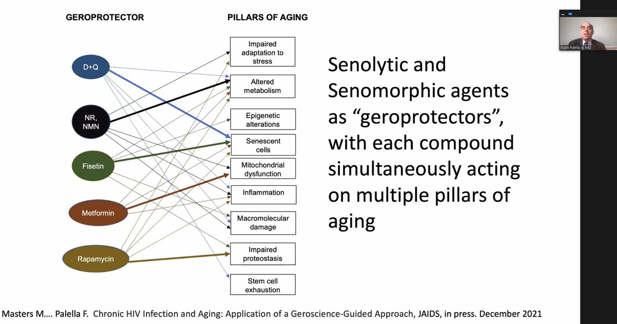 Lee Lindquist tweet media