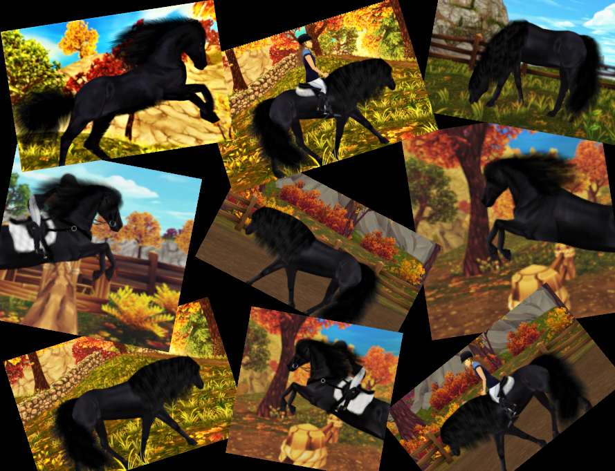 TStormsister's tweet photo. Hey!
Here are more edits of my Jorvik Friesian from the game Star Stable Online!
These are some collages from:
☀️Me and my horse in the Summer☀️
🍁Me and my horse in the Autumn🍁
!I MADE ALL OF THESE EDITS BY MYSELF!
What do you think about them?
#StarStableOnline https://t.co/oPOTTcXYQZ