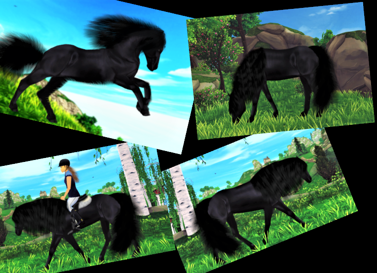 TStormsister's tweet photo. Hey!
Here are more edits of my Jorvik Friesian from the game Star Stable Online!
These are some collages from:
☀️Me and my horse in the Summer☀️
🍁Me and my horse in the Autumn🍁
!I MADE ALL OF THESE EDITS BY MYSELF!
What do you think about them?
#StarStableOnline https://t.co/oPOTTcXYQZ