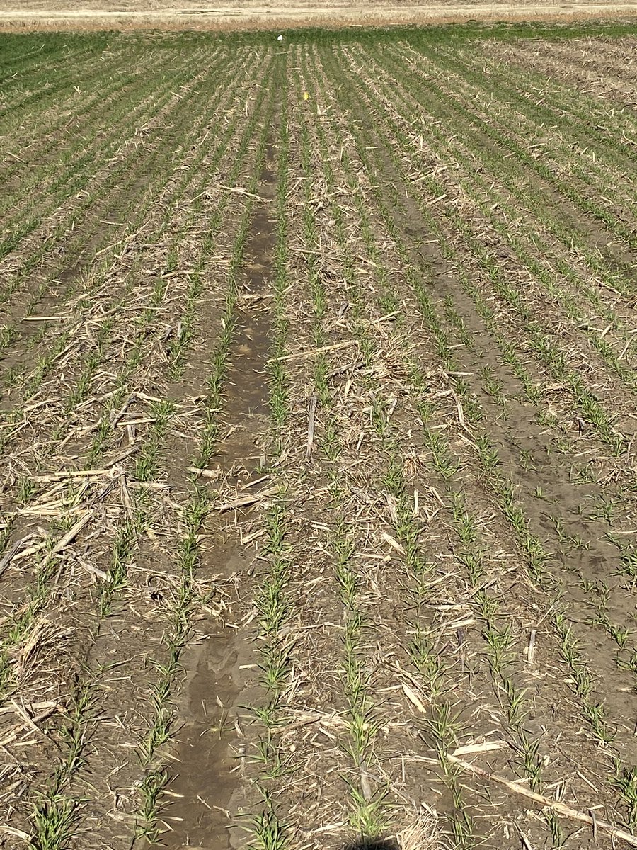 Jason Kelley tweet media