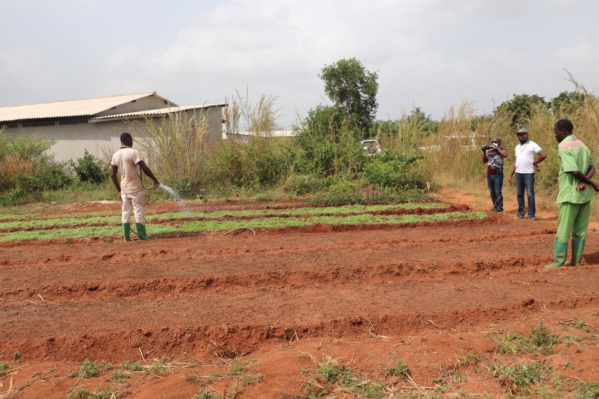 Agence Togolaise d'Electrification RuraleAT2ER tweet media