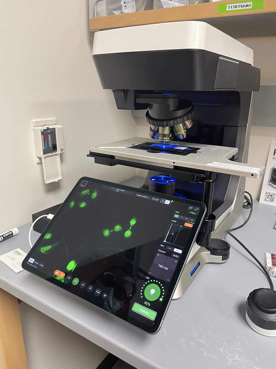 foodskop's tweet image. The Skop lab is super excited about our new ⁦@Discover_Echo⁩ ⁦@VWR⁩ microscope with no eyepieces! Just an iPad! 
Check out these midbodies!