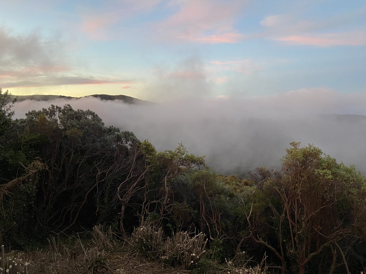 Barath_Tripard's tweet photo. Il y a un an, je découvrais la #PlainedesSables @Region_Reunion, après une marche d'approche de plusieurs heures depuis Saint-Philippe. Une pure merveille, un miracle ❤
#LaReunion #Nouvelle #MagnifiqueFrance #Team974 https://t.co/VSkxKUhVhS