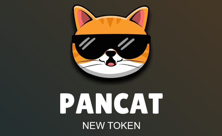 pancatcoin's tweet photo. @elonmusk Hello world. Welcome to our army of cats. 
Weve created this community to form a new force in the world of cryptocurrencies. 
Subscribe to our channel by registering through our website, https://t.co/l2ERoSLh5O  https://t.co/VF4yVw4OyL
We will begin the pre-sale phase shortly. https://t.co/JfFVvSz1S2