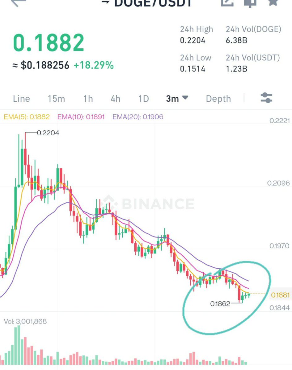 pushpendrakum's tweet photo. #doge coin condition within 3 hours 😄 https://t.co/eNzGuf4k9B