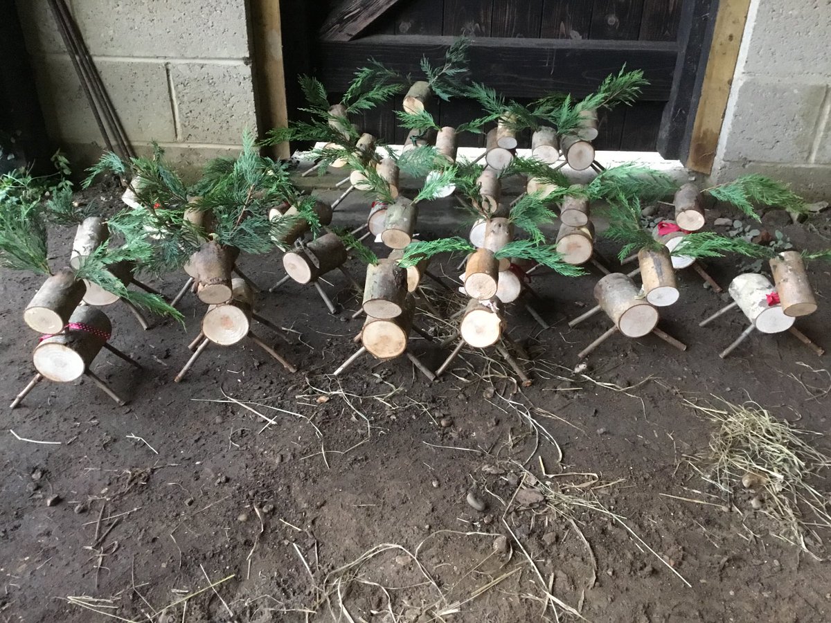 Shotley Badgers tweet media