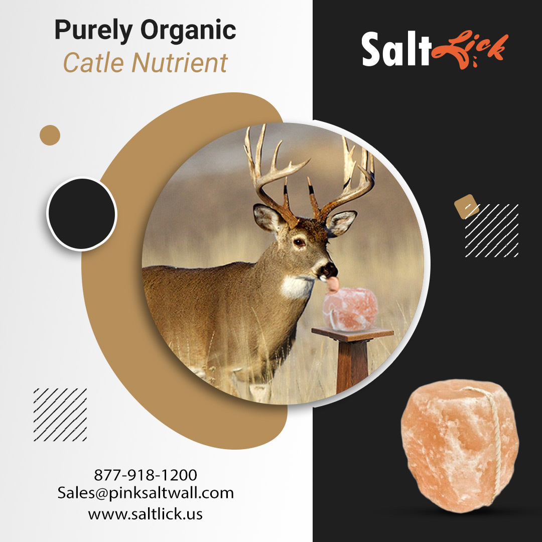 lisawilliams129's tweet photo. Salt licks, also known as mineral licks, are necessary components in animals' diets. They contain essential mineral nutrients of salt deposits and trace minerals such as phosphorus, iron, zinc, and calcium.
#saltlick #himalayansalt #saltforanimals #animalsalt https://t.co/TVCBsp7dwy