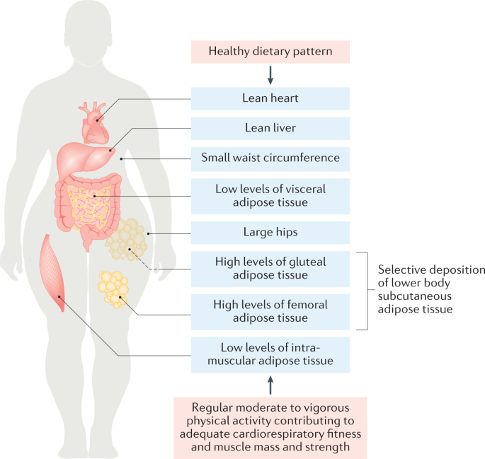 New content online: Taking a closer look at metabolically healthy obesity dlvr.it/SFM7tP