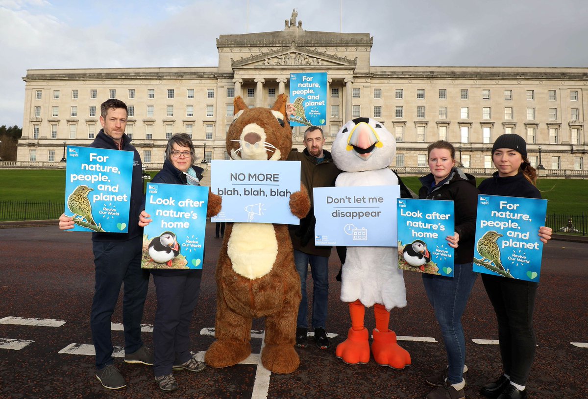 The @daera_ni Environment Strategy should be a plan of action for the Executive to #ReviveOurWorld, but the draft is not ambitious. 
Join us in letting our leaders know they must do more. Click here to find out more and send your response 👉bit.ly/RSPBNI_Environ…