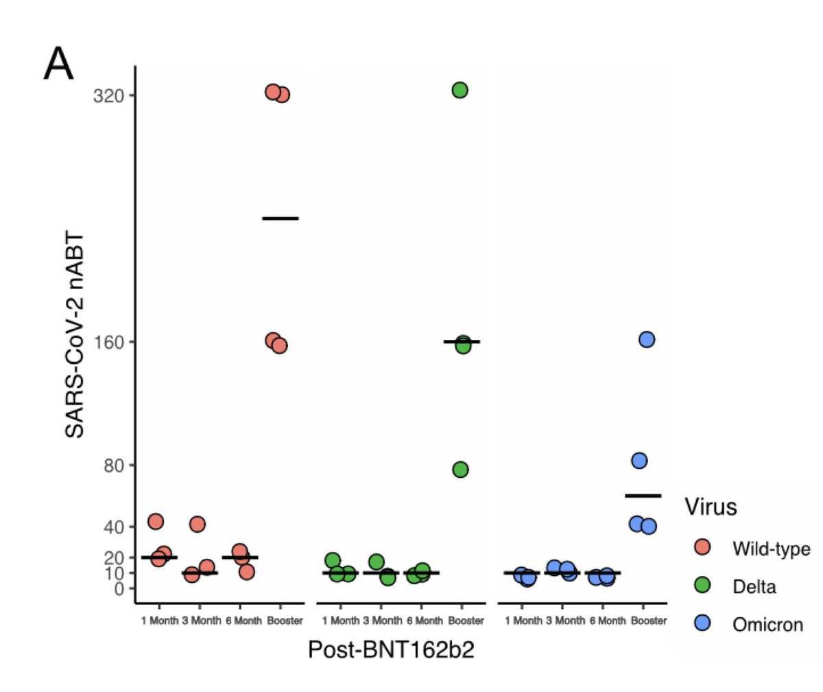 2 new reports: up to 100-fold increase in neutralization activity vs Omicron after 3rd dose vaccine
medrxiv.org/content/10.110…
biorxiv.org/content/10.110…