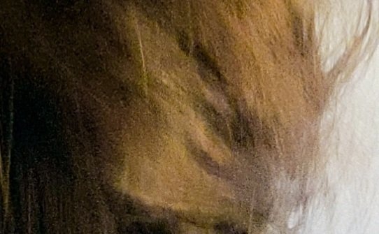 StephanieAngliq's tweet photo. Look at this... 👀 seriously I put  this ppc inhttps://pin.it/65TI8OH ahow you in a aec look what  a nasty horrible person try to see how it look like my doggy https://t.co/CpaZsZuVoC