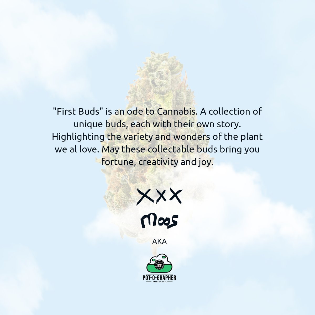 grapher_the's tweet photo. Hi followers! My name is Moos, I am a photographer from Amsterdam. I've been creating and sharing my work via Instagram mostly. Still #NEW to Twitter! Also, I've just launched my first NFT project. #FirstBuds is a collection of 10 strains! Your support is appreciated! #RT #NFT😍 https://t.co/LqEXTNQQwT