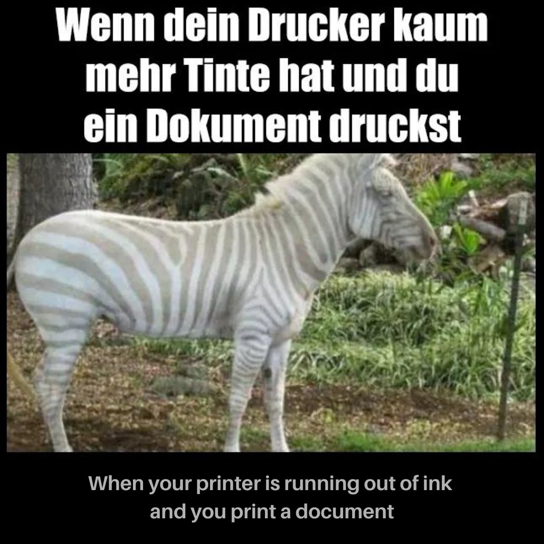 GermanWithMemes's tweet photo. #langtwt #learngerman #deuschlernen #germanmemes https://t.co/M269rPexaH