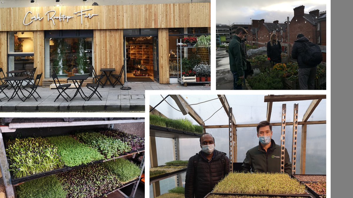Barbara Doyle Prestwich PhD (@barbaradoylepre) on Twitter photo Nice visit to Cork Rooftop Farms earlier with <a href="/raghubadmi/">Raghu Ram Badmi</a>.Rooftop farm grew out of COVID-19 induced lockdown. Look forward to working with Brian & team as we embark on some student urban farming projects. Loving the new coffee shop <a href="/uccBEES/">Biological, Earth & Environmental Sciences, UCC</a> <a href="/CorkFoodPolicy/">Cork Food Policy</a> <a href="/UrbanFarming/">UrbanFarming</a> <a href="/SDGoals/">SDGs</a> Nice visit to Cork Rooftop Farms earlier with <a href="/raghubadmi/">Raghu Ram Badmi</a>.Rooftop farm grew out of COVID-19 induced lockdown. Look forward to working with Brian & team as we embark on some student urban farming projects. Loving the new coffee shop <a href="/uccBEES/">Biological, Earth & Environmental Sciences, UCC</a> <a href="/CorkFoodPolicy/">Cork Food Policy</a> <a href="/UrbanFarming/">UrbanFarming</a> <a href="/SDGoals/">SDGs</a>
