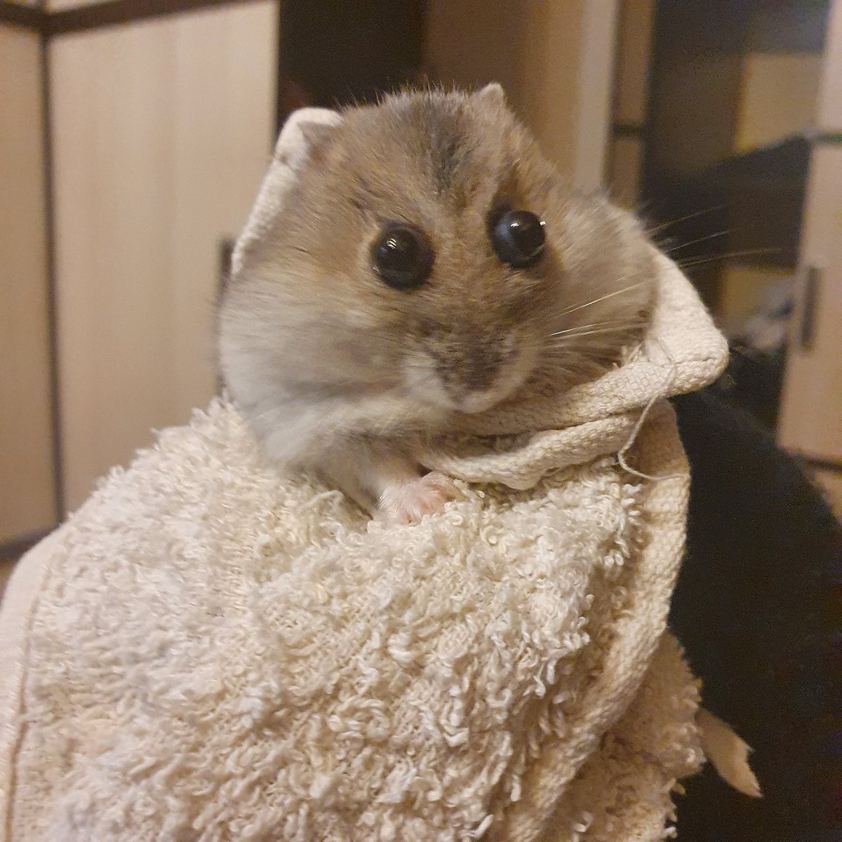 Мой mood на последнее время