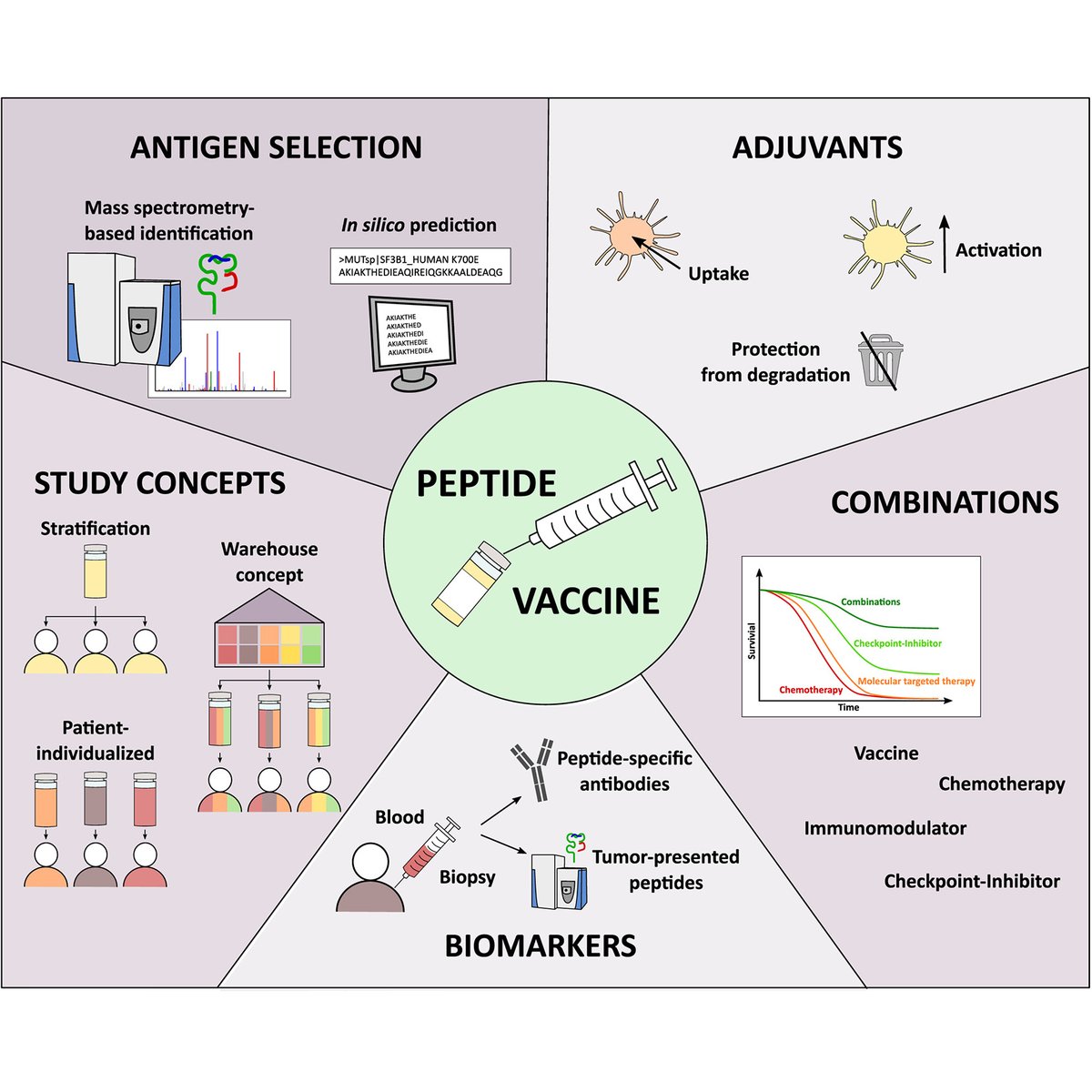 Molecular & Cellular Proteomics (@molcellprot) on Twitter photo "The Peptide Vaccine of the Future"
Nelde et al. of <a href="/uni_tue/">UniversitƤt Tübingen</a> discuss current approaches in the development of peptide-based vaccines and critical implications for optimal #vaccine design ā <a href="/AnnikaNel/">Annika Nel</a> <a href="/LabWalz/">Peptide-based Immunotherapy</a> #Immunopeptidomics #Immunology #TeamMassSpec
mcponline.org/article/S1535-⦠"The Peptide Vaccine of the Future"
Nelde et al. of <a href="/uni_tue/">UniversitƤt Tübingen</a> discuss current approaches in the development of peptide-based vaccines and critical implications for optimal #vaccine design ā <a href="/AnnikaNel/">Annika Nel</a> <a href="/LabWalz/">Peptide-based Immunotherapy</a> #Immunopeptidomics #Immunology #TeamMassSpec
mcponline.org/article/S1535-ā¦
