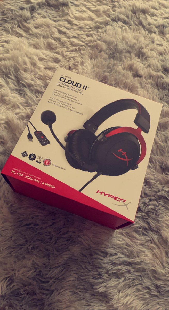 ILBiGGestEV's tweet image. le petit nouveau 😈 #HYPERXCLOUD 2